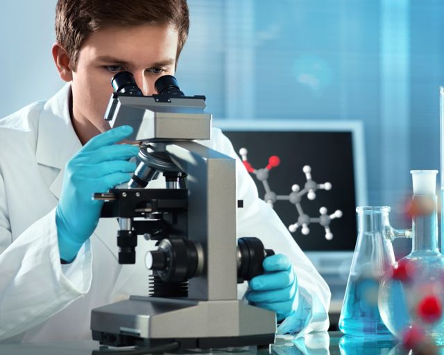 Sperm quality is seasonal, suggests study