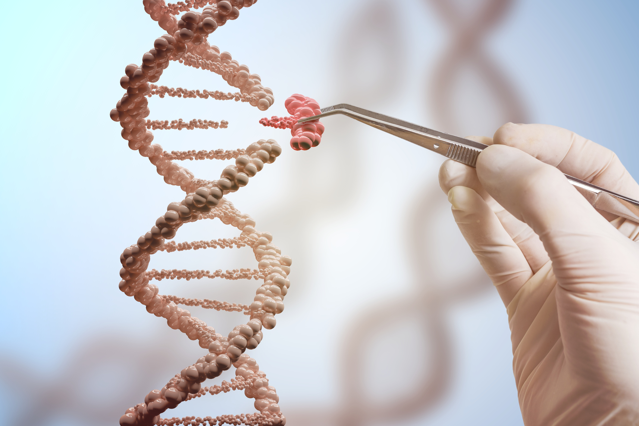 Japan prepares to allow genome editing in human embryos