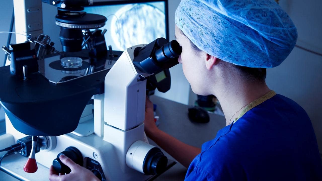 Australian woman wins right to IVF without estranged husband’s consent